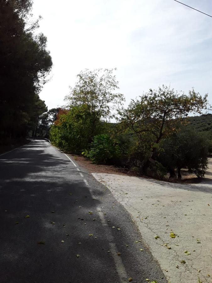 Hacienda La Buena Vida B&B En Appartementen Algarinejo Екстер'єр фото