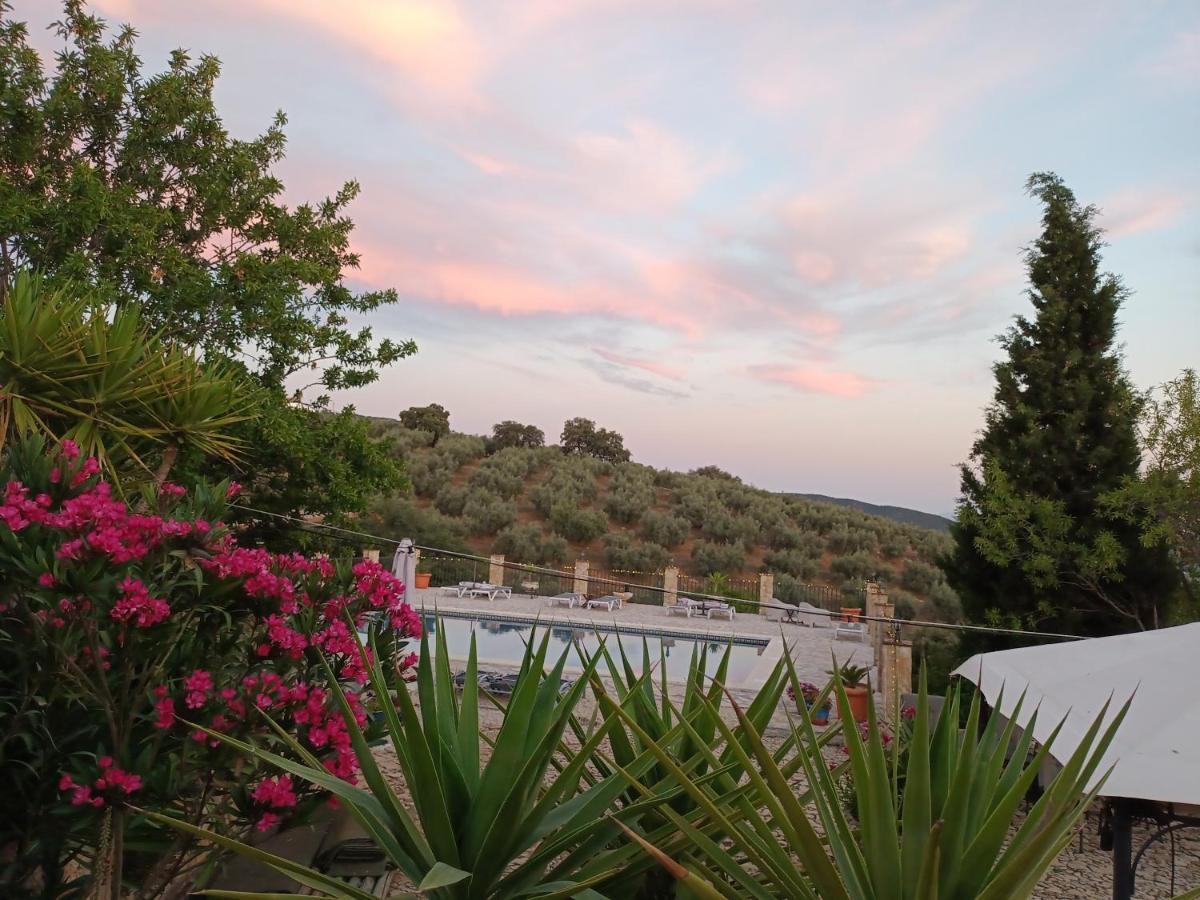 Hacienda La Buena Vida B&B En Appartementen Algarinejo Екстер'єр фото